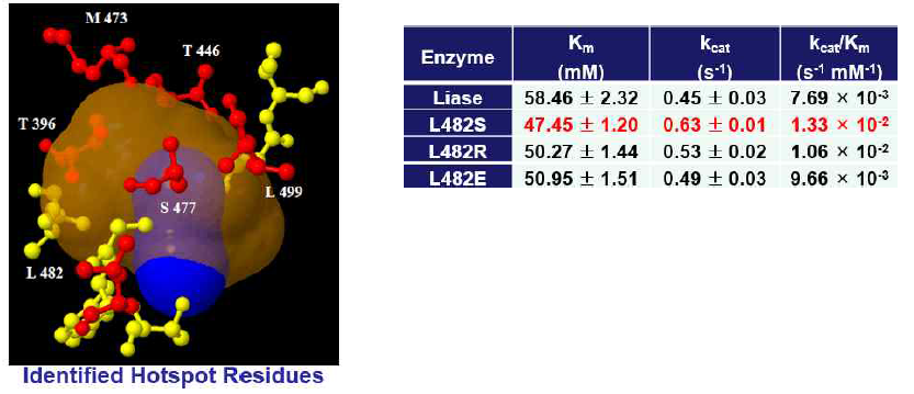 Engineering of FLS via HotSpot wizard server. (a) Identified hotspot residues. (b) Kinetic constants of FLS wild-type and mutants