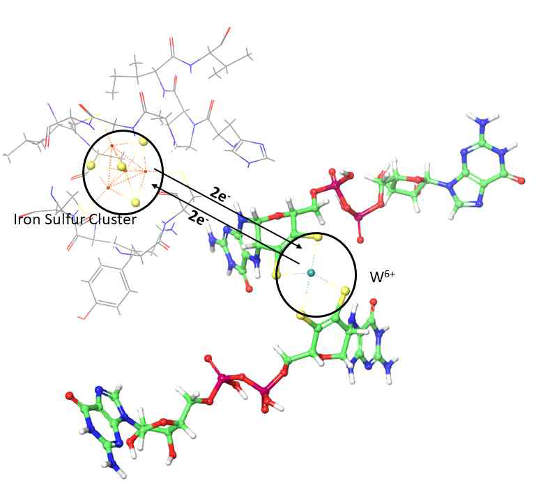 Illustration of electron transfer from iron sulphur cluster to metal center for the reduction of CO2 to HCOO-