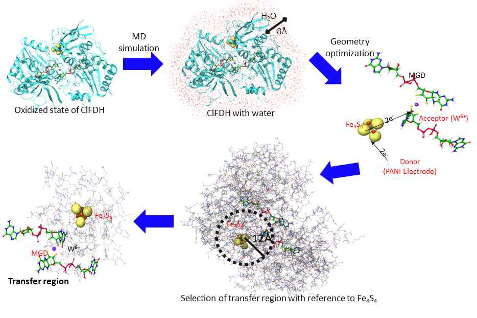 Illustration of system preparation for the QM/MM electron transfer path search in EcFDH. a) Oxidized state of EcFDH, where yellow and red balls represent oxidized form of Mo6+and Fe4S4 cluster, respectively. b) Oxidized state of EcFDH with water molecule obtained from molecular dynamics simulation. c) QM/MM minimizations. d) Selection of transfer region with reference to Fe4S4. e) Defined electron transfer region (56 residues; Table 2) for QM/MM e-pathway calculation