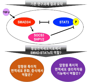 과제 결과 요약 및 질문