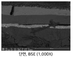 기존 10-layered 구조의 MEA에 대한 BSE에서의 SEM 사진
