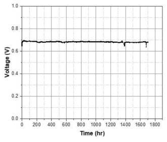 2차 장기 성능 평가. PtNi/C Bar coating 전극을 양극으로 한 대면적 (99.96 cm2) 단위전지의 0.2 A/cm2 정전류에서 장기성능 변화