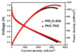 PtP2/C-800 촉매의 고온 PEMFC에서의 성능 분석