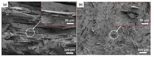 (a) PPS-graphitecom와 (b) PPS-graphiteext 의 파단면 사진