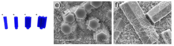 (a-d) ZnO whisker 성장 시간에 따른 모델, (e) Top-exposed ZnO whisker과 (f) ZnO microrod/CdS nanowire heterostructure