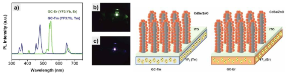 GC-Er 기판과 GC-Tm 기판에서의 업컨버전 특성 및 각 기판에서 성장시킨 CdSe 퀀텀닷/ZnO 나노라드 구조체 모식도