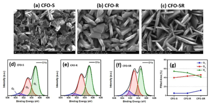 (a)~(c) CFO-S, CFO-R, CFO-SR의 SEM이미지, (d)~(f) CFO-S, CFO-R, CFO-SR에 대한 XPS에서의 O1s 피크, (g) O1s에서의 각 피크에 대한 구성비