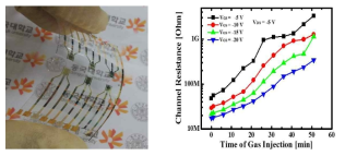 제작된 유기반도체를 이용한 가스 센서 소자 및 암모니아 가스에 대한 특성 변화