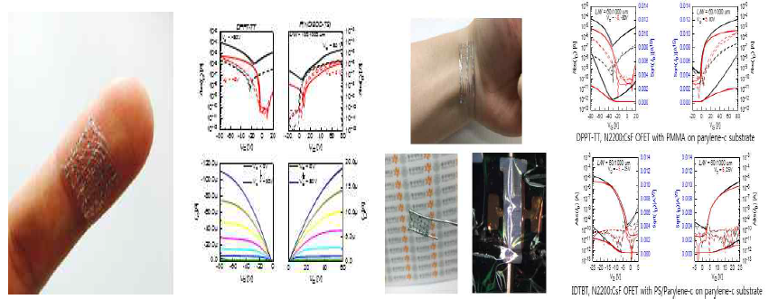 패릴렌 기판에 제작한 박막트랜지스터