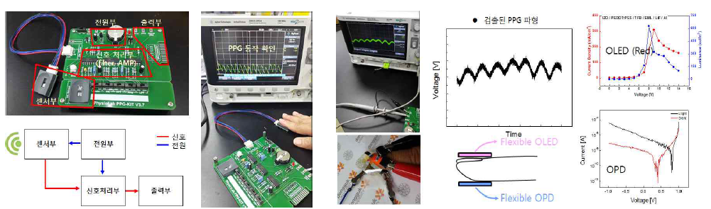 OLED / OPD를 이용한 PPG 신호 검출