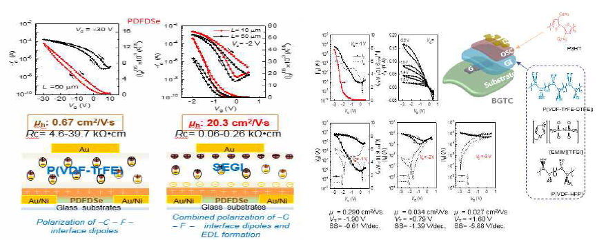 SEGI를 적용한 고성능 저전압 트랜지스터 특성