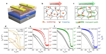 페로브스카이트와 CNT 복합반도체를 혼합한 신규반도체의 트랜지스터 특성