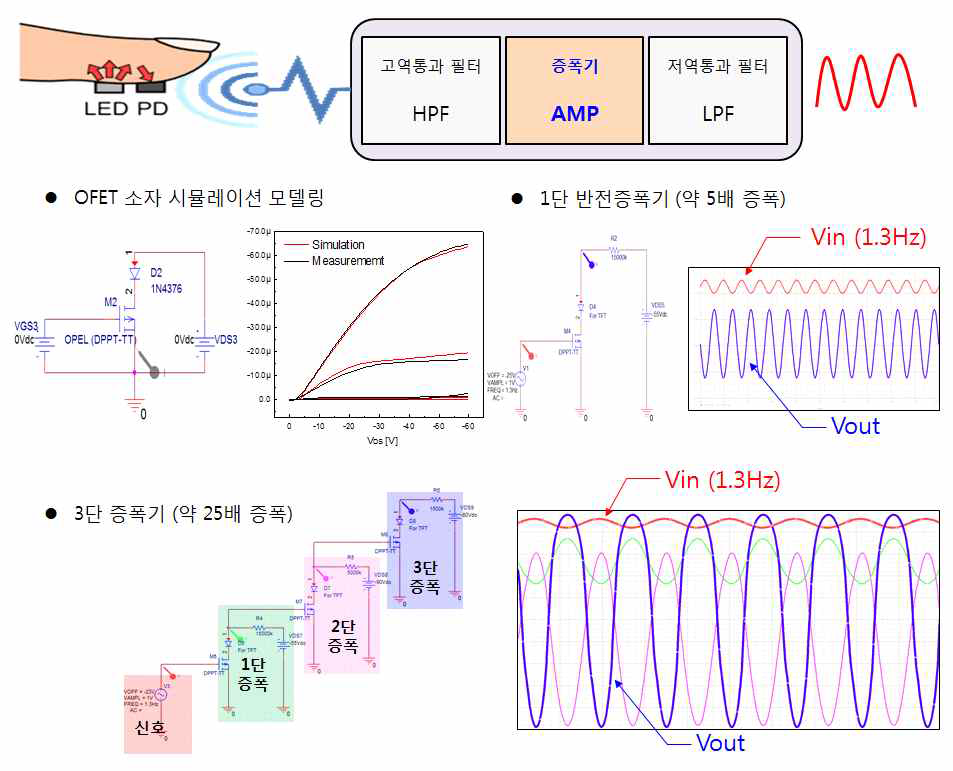 트랜지스터 소자 모델링 및 생체신호 검출용 증폭기 설계 시뮬레이션