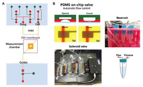 A. 칩열량계 세포 및 유체 주입 시스템. PDMS 채널 (녹색: control layer, 적색: flow layer)과 parylene 채널 (주황)을 결합한 구조를 사용하였다. B. Solenoid valve 시스템을 구축하여 PDMS on-chip valve 를 조작하여 유체의 흐름을 조절하였다