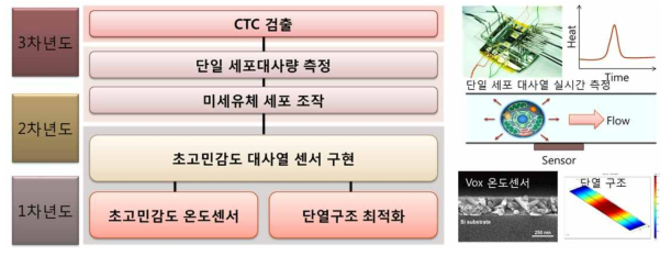 초고민감도 VOx 온도 센서와 박막 미세유체를 이용한 디바이스 단열구조 최적화를 통해 초고민감도 대사열 센서를 구현한다. 미세유체 시스템과 결합하여 단일세포 대사열 측정기술을 확립하고 CTC 탐지에 적용한다