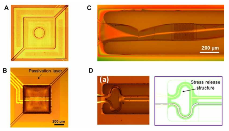 Thermistor passivation. A. Thermistor를 미세유체 챔버 바깥으로 형성한 디자인. B. AlOx, SiN passivation 층을 thermistor위에 패턴한 디자인. C. 박막의 기계적 스트레스로 손상된 브릿지구조. D. 곡선형태의 Stress release구조를 도입한 디바이스