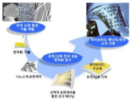 소프트 일렉트로닉스을 위한 유연/신축 전극 소재 개발의 필요성