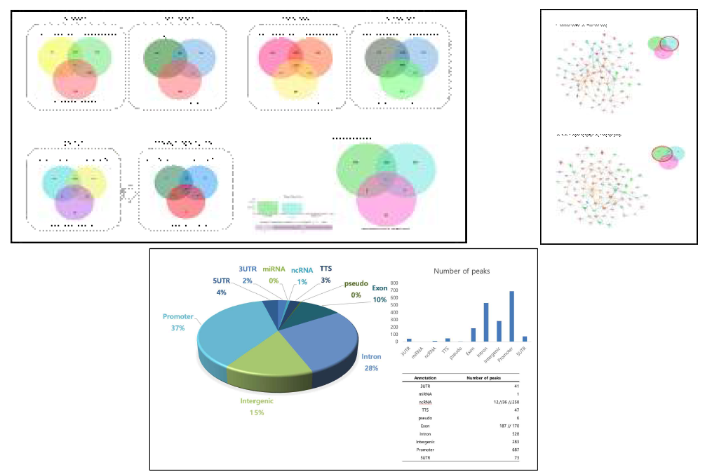 (좌상) Differential expression of mRNA (DEGs), Differential methylated regions (DMRs), Differential expressed lncRNA, and Correlation analysis of DEGs and DMRs (우상) Pathway analysis (하) Distribution of genomic feature