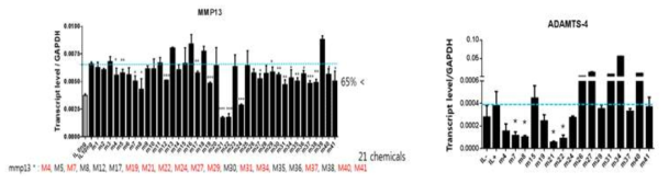 SW1353 세포에서 염증반응 조절 후보 chemical compound의 스크리닝