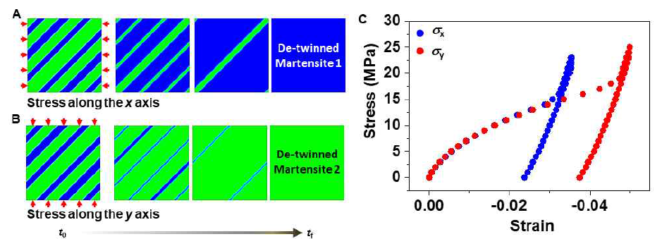 서로 다른 방향의 압축응력이 가해질 때 형상기억합금 내부의 detwinning 과정 및 형상기억합금의 가소성 거동