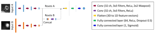 Schematic illustration of proposed DCNN: Route A and B are indicating the single input (MR or PET) and the dual input (MR and PET) architecture, respectively