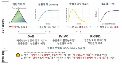 새로운 IVIVC 모델개발을 위한 연구내용