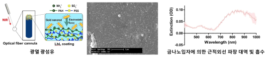 금-나노막대 코팅을 이용한 광섬유 기반 광열자극 프로브 제작 공정(좌), 전자현미경 촬영으로 확인한 금-나노막대 코팅 결과(중앙), 흡수파장 스펙트럼 (우)