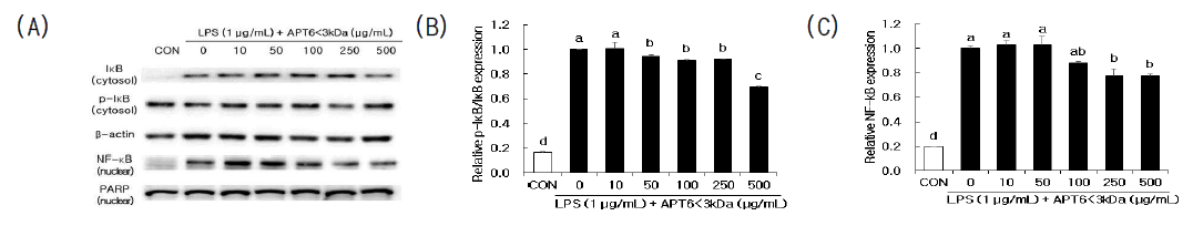 Effects of APT6<3kDa on NF-kB pathway protein expression in RAW 264.7 cells after stimulation by LPS (1μg/mL) for 1 h. a-d Means within a treatment with different superscript differ significantly at p<0.05