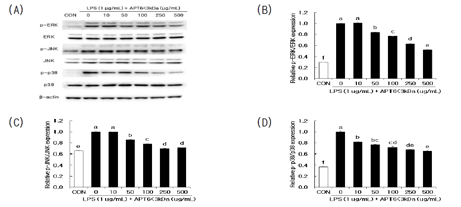Effects of APT6<3kDa on MAPK pathway protein expression in RAW 264.7 cells after stimulation by LPS (1μg/mL) for 1 h. a-f Means within a treatment with different superscript differ significantly at p<0.05