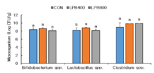 Microbial counts in fecal from mice. a Means within a treatment with different superscript differ significantly at p<0.05