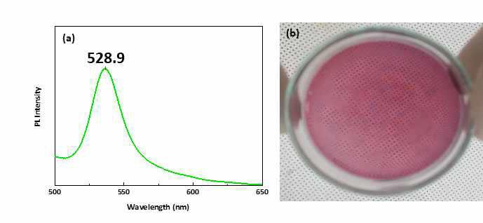 고분자 나노입자 복합체 특성 분석. (a) UV-Vis, (b) Photo image of polymer nanocomposite