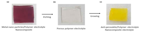 합성된 Anti-perovskite 기반 나노 복합체 고체전해질. (a) Metal nanparticles/polymer electrolyte nanocomposite, (b) Porous polymer electrolyte, and (c) Anti-perovskite/polymer electrolyte nanocomposite electrolyte