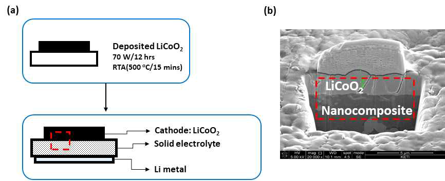 Half-Cell 테스트를 위한 전극 형성 조건 및 형성된 전극 SEM 결과. (a) Conditions for fabricating LiCoO2 electrode material, (b) SEM image of LiCoO2 electrode