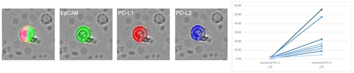좌) CTC 에서의 PD-L1 발현 우) 엑소좀에서의 PD-L1 의 발현 변화 패턴