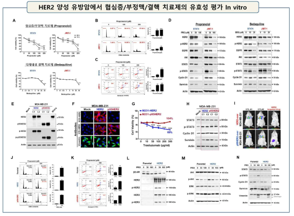 A. 약물 민감성 BT474 및 내성 JIMT-1 세포주에 Propranolol, Bedaquiline을 각각 농도별로 72시간 동안 처리 후, MTS assay로 세포생존률을 측정함. 유의성 검증은 One-Way or Two-Way ANOVA로 분석함 (***, p<0.001). B. Flow cytometry를 이용해 두 세포주에서 Propranolol (100 or 200 uM, 72 h)이 유도하는 Sub-G1 accumulation을 분석함. C. HER2 signaling pathway (HER2/EGFR/AKT/STAT3/Cyclin D1/Survivin) 발현 양상을 WB 기법으로 분석 E-F. 전이성 MDA-MB-231 세포주에 HER2 또는 p95HER2를 과발현시킨 민감성/전이성 및 내성/전이성 유방암 세포주 확립 및 HER2 단백질 발현 양상을 WB/IF 기법으로 검증. G. 두 세포주에 Trastuzumab (0-300 μg/mL)을 처리 후, 세포생존율 측정. H. Parental 세포주와 암전이 인자 STAT3 및 그 하위 signaling 인자 발현을 WB으로 비교 분석. I HER2 또는 p95HER2를 과발현시킨 민감성/전이성 및 내성/전이성 유방암 질환동물 확인 및 폐/간 암전이 검증 J. Propranolol 의한 Sub-G1 accumulation 조사. K. Annexin V 기법으로 early/late apoptotic cells 분석. L-M. β2-AR/HER2/p-HER2/HER3의 발현을 WB기법으로 분석. Akt/p-Akt/ERK/p-ERK의 발현 조사. N. 전이 조절 단백질 STAT3/p-STAT3/Cyclin D1/Survivin/Vimentin의 발현 양상을 WB로 조사