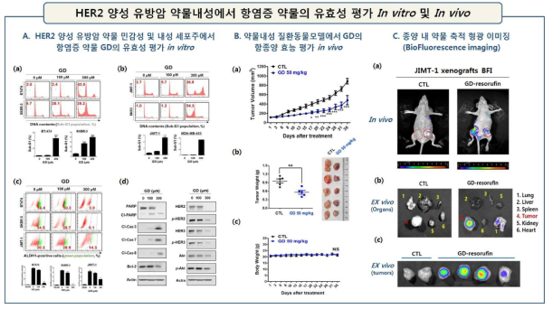 A: HER2 양성 유방암 약물 민감성 및 내성 세포주에서 항염증 약물 GD의 유효성 평가 in vitro. a-b. 약물민감성 세포주(a) 및 약물 내성 세포주(b)의 Sub-G1 accumulation 분석. c. ALDEFLUOR positivity로 암줄기세포율 측정. d. PARP, cleaved caspase–3/-7/-8 및 bcl-2 측정. HER2, p-HER2, p-p95HER2, HER3, p-HER3, Akt 및 p-AKT의 발현을 WB으로 조사. B: JIMT-1 xenograft model에서 GD 항종양효능 평가. a. Tumor gowth 측정. 유의성 검증은 Two-Way ANOVA로 분석하였음 (***, p<0.001). b. Tumor weight. Student’s t-test로 검증. c. body weight. C: 종양 내 약물 축적 형광 이미징. a. GD 주입 24시간 후, BFI 촬영 in vivo. b. 장기 및 종양 적출 후 Ex vivo BFI 촬영. c. 대조군과 약물 처리한 종양에서 BFI 비교 촬영