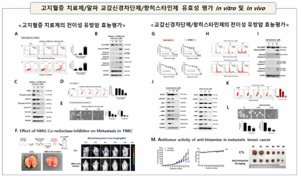 A. 전이성 유방암에서 고지혈증 치료제, 알파 교감신경차단제 및 항히스타민제의 유효성 평가. A. Sub-G1 analysis. B, 세포사멸인자인 caspase-3, caspase-7, caspase-8 및 PARP cleavage form을 Western blot 기법으로 분석. C. JAK2/STAT3 signaling을 WB 기법으로 분석. D. 암줄기세포 분획을 CD44high/CD24low 로 분석, E. Mammosphere-forming ability 측정. F. 암줄기세포 이식 암전이 모델에서 고지혈증치료제 투여 후, 폐전이 측정 (BLI imaging). G. Cell viability. H. Sub-G1 analysis. I. caspase-3, caspase-7, caspase-8 및 PARP 발현 분석. J. EGFR/Akt 및 MEK/ERK 발현 및 인산화 분석. K. ALDH1 activity 암줄기세포 분석. L. Mammosphere-forming ability 측정. M 암줄기세포 이식 동물모델에서 항히스타민제의 항종양효능 평가. Tumor gowth 측정. 유의성 검증은 Two-Way ANOVA로 분석하였음 (***, p<0.001). body weight. 종양을 적출한 뒤 tumor burden의 size 비교