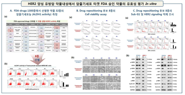 A: a-b. 32종 약물 선별 및 약물 내성 세포주에서 ALDH1 activity 측정하여 8종 약물 선별. B: a. 후 보약물 8종을 약물 민감성 및 내성 세포주에 처리하여 MTS assay로 세포생존률 측정. b. 세포형태 (phase-contrast imaging) 촬영. C: a. Flow cytometry 이용 Sub-G1 accumulation (apoptosis) 측정. b. HER2 signaling pathway 관련 단백질 발현 조사 (HER2, p-HER2, HER3, Akt, p-Akt, MEK, p-MEK, Cyclin D1, Survivin)