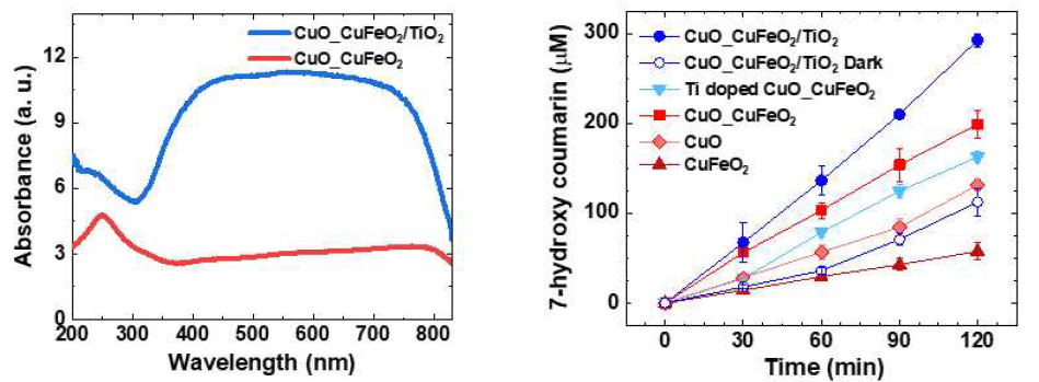 CuO_CuFeO2와 CuO_CuFeO2/TiO2 광전극의 광흡수율(왼)과 OH radical 생성량(오) 그래프