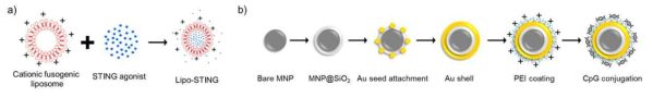 면역활성 나노입자(유형1)과 면역활성 나노입자(유형2)의 합성 개략도. a) 수지상세포의 성숙화를 유도할 수 있는 면역 활성물질(인터페론 유전자 자극제, STING)을 세포막 융합성 리포좀 내부에 봉입한 면역활성 나노입자, b) 수지상세포의 톨유사수용체(Toll-like receptor)를 자극할 수 있는 CpG 올리고핵산을 부착한 코어/쉘 형태의 면역활성 나노입자