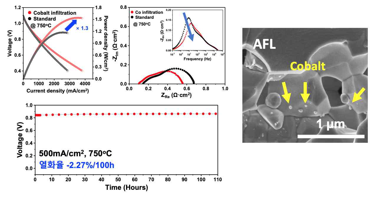 단전지 성능 평가 결과 및 안정성 평가 결과 (100 h @750 ℃)
