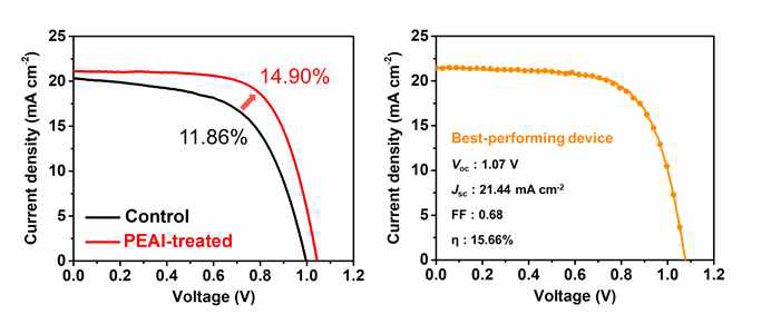 기존 카본전극 기반 태양전지 대비 2차원 페로브스카이트 계면층이 도입된 전류밀도-전압 그래프