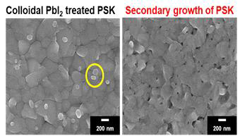 Collidal PbI₂ 가 처리된 페로브스카이트 흡광층과 MAI 까지 처리하여 2차 성장된 페로브스카이트 이중층의 표면 SEM 이미지