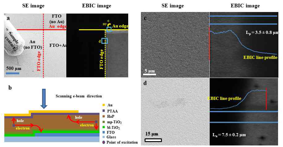 Electron beam induced current (EBIC)로 전자/전공 측정하기 위한 방법과 측정된 결과