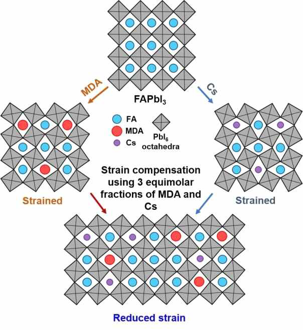 MDA2+와 Cs+ 양이온이 페로브스카이트 결정구조내에 3:3 몰분율로 도입되었을 때, FA, MDA 그리고 Cs 사이의 이온반경 차이에서 유도되는 격자 스트레인 상쇄를 제안하는 도식적인 삽화