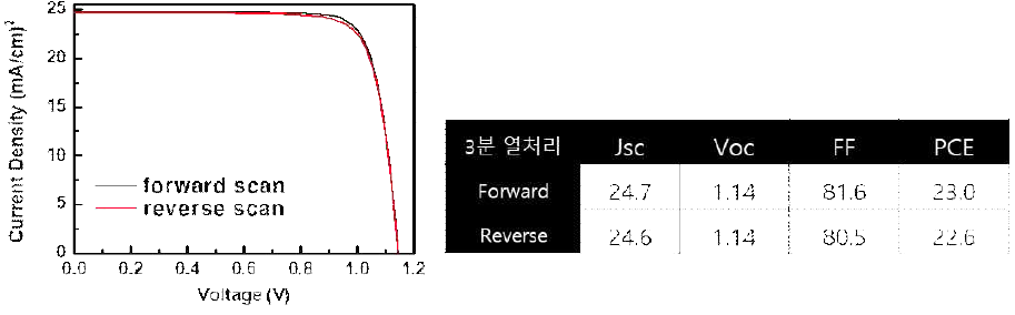 SnO2 층을 적용한 고속 공정 제작 태양전지