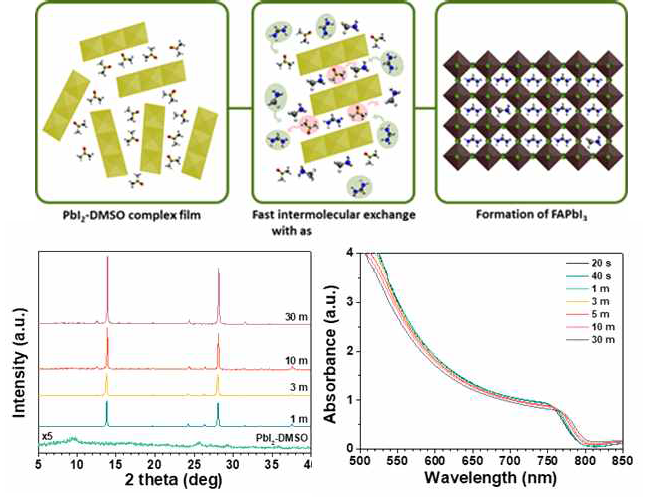 MA 이온의 도움을 통한 빠른 FAPbI3 상변화