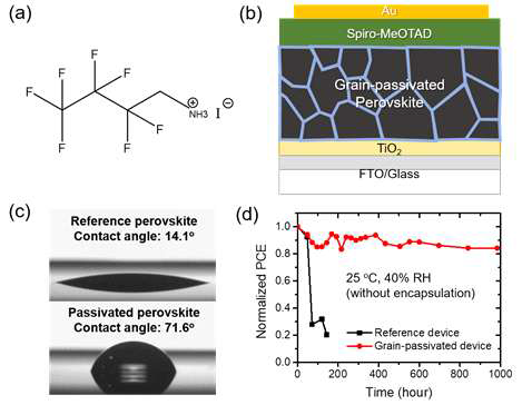(a) 소수성 첨가제 2,2,3,3,4,4,4- heptafluorobutyl ammonium iodide (F7)의 분자 구조 (b) F7으로 결정립이 표면처리된 페로브스카이트 층이 도입된 태양전지의 구조도 (c)페로브스카이트 필름에 대한 물방울의 접촉각 비교 (d) F7 첨가제가 도입 된 페로브스카이트 태양전지와 기존 페로브스카이트 태양전지의 정규화된 광전변환 효율 변화 (온도 25°C, 상대습도 40%)