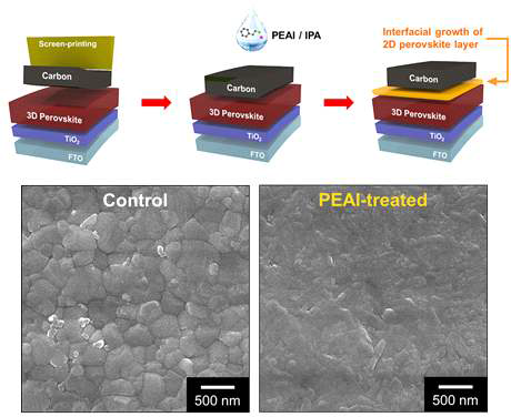 PEAI 용액의 후처리 공정을 통한 2차원 페로브스카이트 (PEA₂PbI₄) 계면성장 방법과 페로브스카이트 표면 변화 이미지