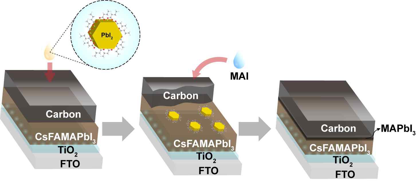 무극성 용매에 분산 가능한 colloidal PbI₂ 와 MAI 처리를 통해 2차 성장된 페로브스카이트 층을 포함하는 카본전극 기반 페로브스카이트 태양전지 제조 과정